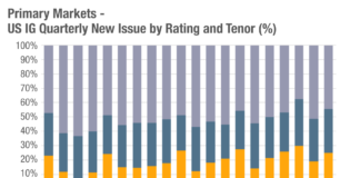 Shorted dated issuance reflects investor appetite