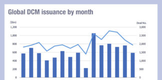 Issuance in double figure growth everywhere (ex-Japan!)