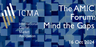 The AMIC Forum: Mind the Gaps – savings, investment and financing the real economy