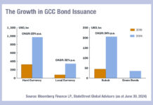 Key trends in emerging markets debt issuance in 2024