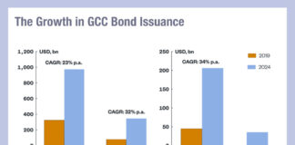 Key trends in emerging markets debt issuance in 2024