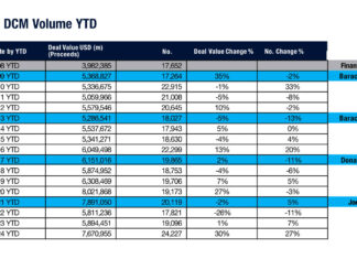 The election effect: Issuance in an election year