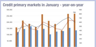 Retreat in credit market primary activity in January 2025, Munis a bright spot