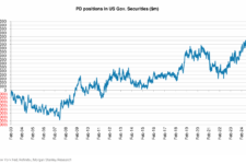 PD positions in US govt securities